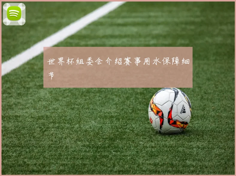 世界杯组委会介绍赛事用水保障细节