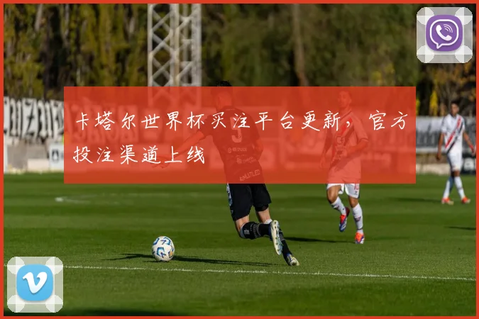 卡塔尔世界杯买注平台更新，官方投注渠道上线