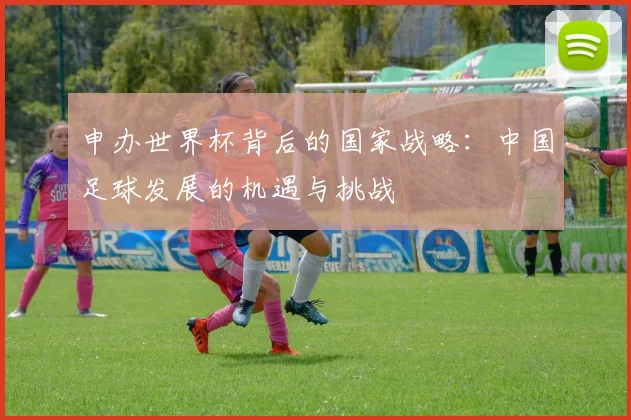 申办世界杯背后的国家战略：中国足球发展的机遇与挑战