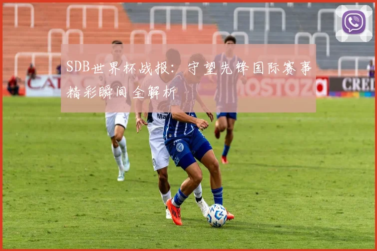 SDB世界杯战报：守望先锋国际赛事精彩瞬间全解析