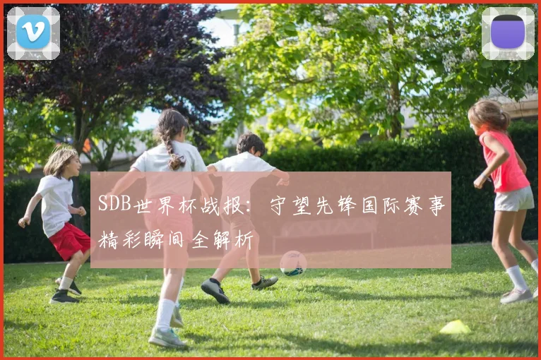 SDB世界杯战报：守望先锋国际赛事精彩瞬间全解析
