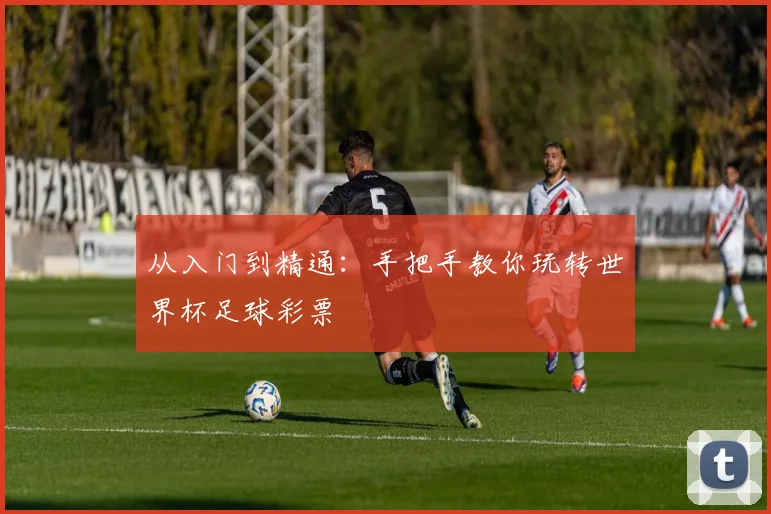 从入门到精通：手把手教你玩转世界杯足球彩票