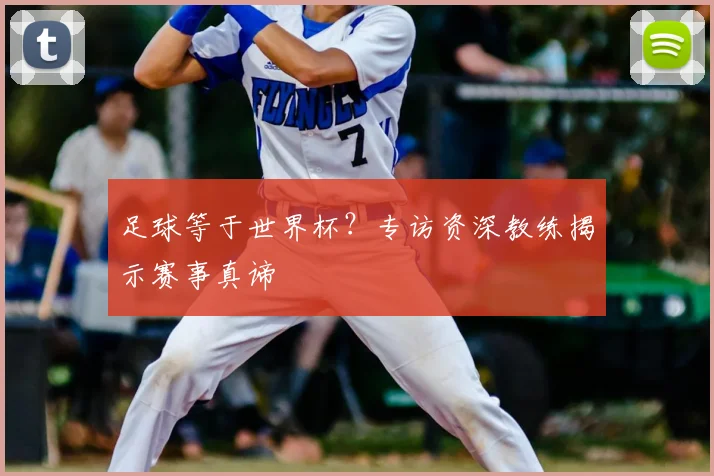 足球等于世界杯？专访资深教练揭示赛事真谛