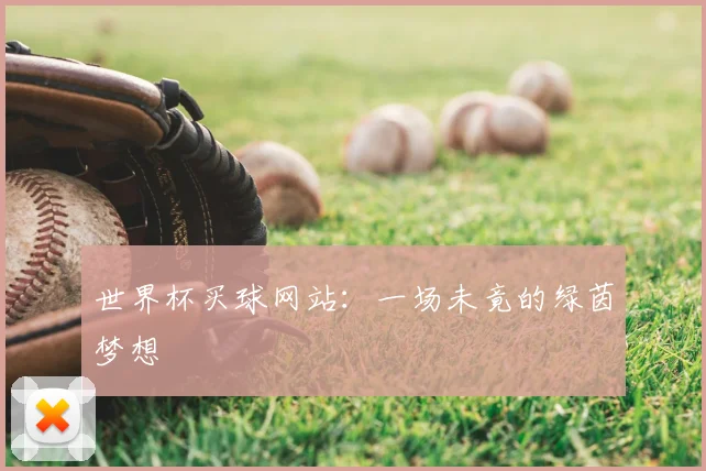 世界杯买球网站：一场未竟的绿茵梦想
