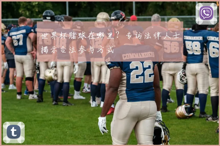 世界杯赌球在哪里？专访法律人士揭示合法参与方式