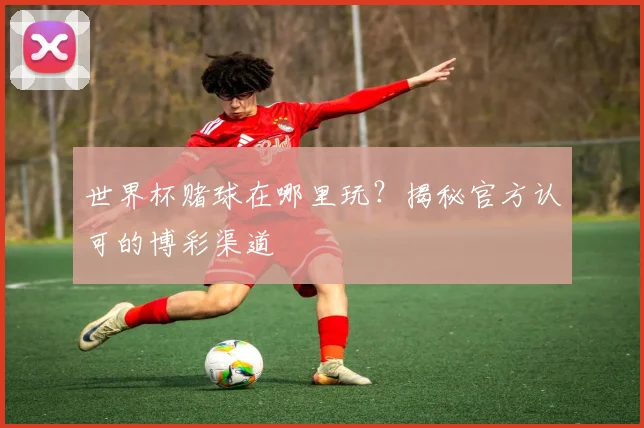 世界杯赌球在哪里玩？揭秘官方认可的博彩渠道