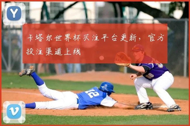 卡塔尔世界杯买注平台更新，官方投注渠道上线